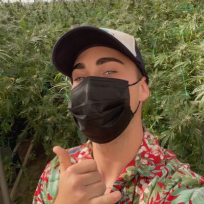 Sales and distribution for California Platnum Farms
|21+| true from farm to home service | for inquiries contact suigenerisflowers@gmail.com