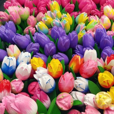 adachan34180826's profile picture. 