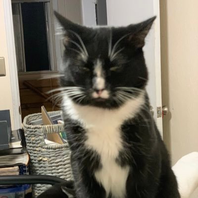 JoseGar65729433's profile picture. 