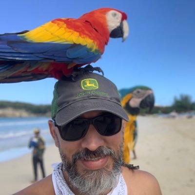 cesar_fajardoc's profile picture. 