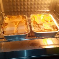 Good Day (@haloindonesiaya) 's Twitter Profile Photo