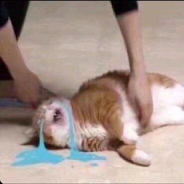 usertest200's profile picture. ini owi.
bedroom producer