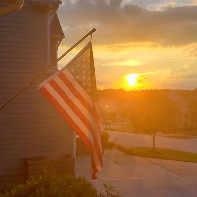 Dave 🇺🇸 Profile