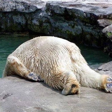 tomo46768257's profile picture. 