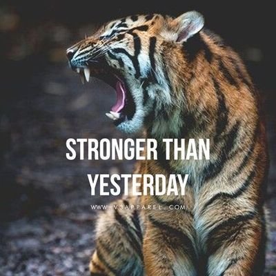 Clouded95640368's profile picture. Unknown