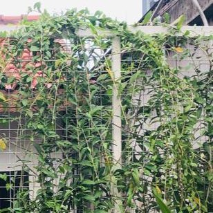 jsdp1007's profile picture. 