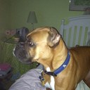 Teddy S - @TeddyStevens1 - Twitter