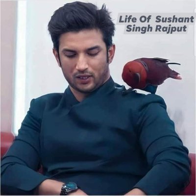 I was never interested to join the twitter..
I am a SSRian..
Boycott BW supporter..
Please go through my space on quora -
https://t.co/KDnUQJM5UC