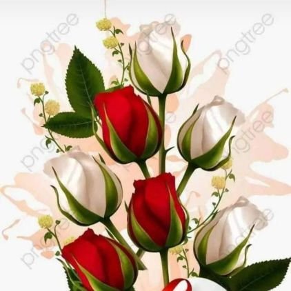 Kannan05553305's profile picture. Nil