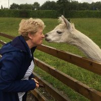 Tineke van der Zwan (@tinekezwan) 's Twitter Profile