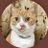 にくきゅうのアイコン