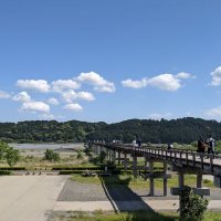 たりらり (@multitry) 's Twitter Profile