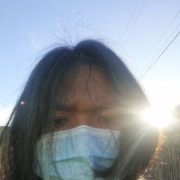 direwolf (@rejerome15) 's Twitter Profile