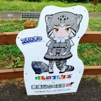はちろく (@1999akf) 's Twitter Profile