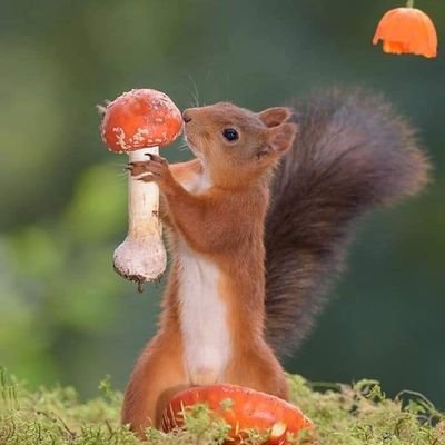 varshahhhj's profile picture. 