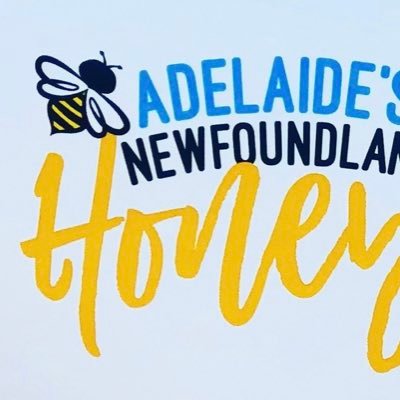 Beekeepers living the dream at Adelaide’s Honey Bee, Pollinator and Wildflower Reserve in Newfoundland and Labrador, Canada. Experience the Honey Bee Hike! 🐝🌹