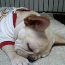 Iris Lai - @PrincessJu - Twitter