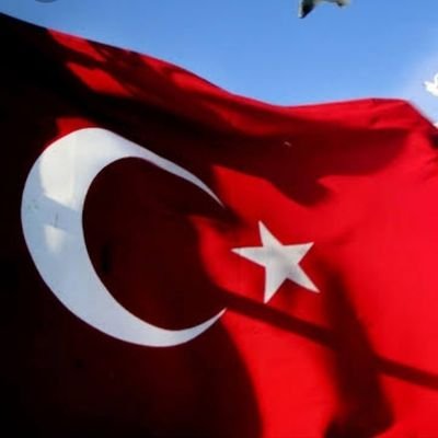 Kpln_aygul's profile picture. 