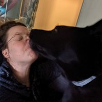 Ellis (@ellistorrance) 's Twitter Profile