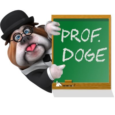Welcome to Doge University !!
Prof. Doge is introducing a new semi-deflationary mechanism, which rewards holders and punishes sellers.
https://t.co/JPvL8z0Eb0
$ProfDoge