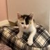 mollydoesntknowwhattonamethisaccount (@molly15803196) Twitter profile photo mollydoesntknowwhattonamethisaccount (@molly15803196) Twitter profile photo
