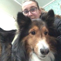 Liv Stevenson (@livstevenson2) 's Twitter Profile