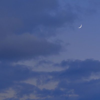 im_hachi_8's profile picture. 21