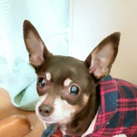mari (@mari762979) 's Twitter Profile