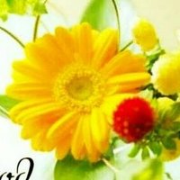 AMIT SINGH (@amitsin07143931) 's Twitter Profile