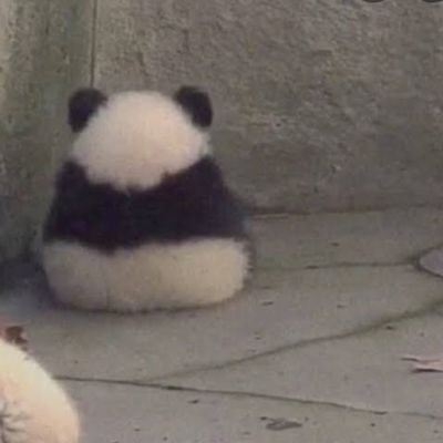 pim_pさんのプロフィール画像