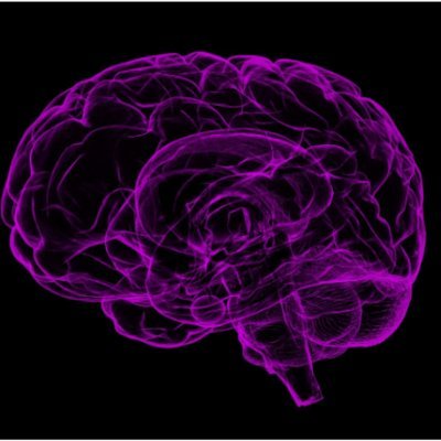 Exercise, Mobility, and Brain Health Lab Profile