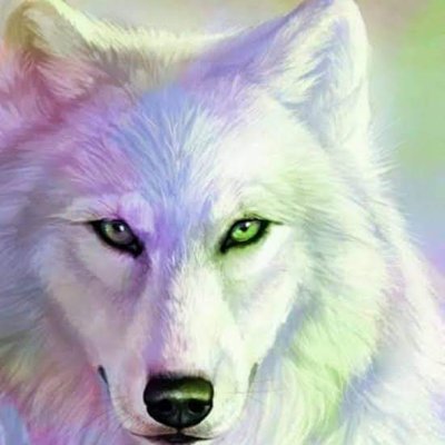 福岡人、ぶらり旅。
山伏/中大先達《遼巖》。
薩摩琵琶皆伝《晴嵐》
噺家《琥山》
紆余曲折、世界放浪。
アラビア語(フスハー、レバント、エジプト)、チベット語(カム)、ウイグル語他、日常会話話者。
【ボルテスV Legacy】でタガログ語が知りたくなった😍😍😍
薙刀、錬士。
別垢→@Kozan1377037