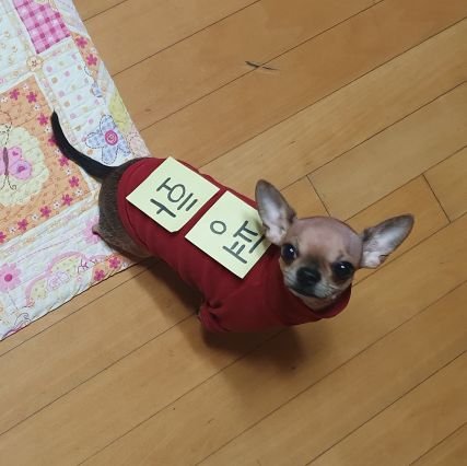 X380csE328vmgGg's profile picture. 신나게 정직하게 치열하게 살자♡