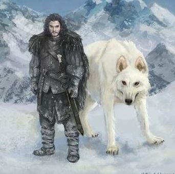 JonkSnow01 Profile Picture