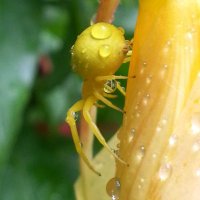 Charalar (🇨🇭🇩🇪🇪🇺🌍) (@charalar) 's Twitter Profile Photo Charalar (🇨🇭🇩🇪🇪🇺🌍) (@charalar) 's Twitter Profile Photo
