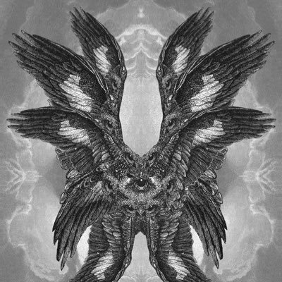 lilswaggy011's profile picture. Pretty swag ngl. 21