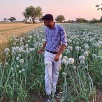 HARI SHANKAR SHUKLA (@hsshukla1071994) 's Twitter Profile