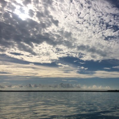 missjaimemango's profile picture. 