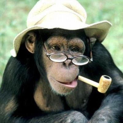 SOBAFIOさんのプロフィール画像
