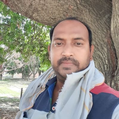 AApniclass's profile picture. 