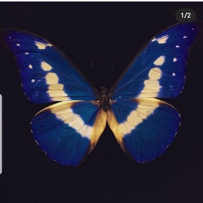 Cj92Ii's profile picture. Relax! 
Gay,  Libra ♎️ 
Aspring vers; pretty dicks + bouncy asses = 🥴
NSFW Retweets & Commentary. 
I DO NOT own any of the media content I share on here.