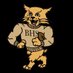 Buchholz Recruiting (@BuchholzRecruit) Twitter profile photo