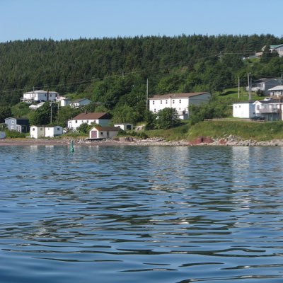 arlene_kinden's profile picture. Teacher.  Proud Newfoundlander. Winnipeg Jets and Blue Bomber fan.