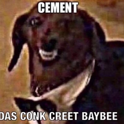 _zoopiest's profile picture. How do you say "Best gamer on Flat Earth?”