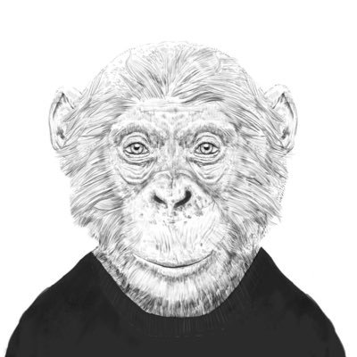 parad0xff's profile picture. \(X_o)/