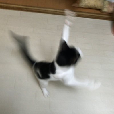 ririn90620926's profile picture. AIでポチポチ遊んでます💻