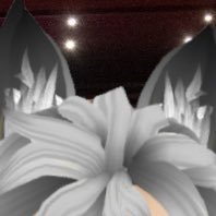 DanDanTheOnly's profile picture. Fuck Israel, Trump, science deniers, right wingers and conservatives, my highschool chemistry teacher and fake chocolate cookie chips