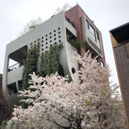 Véronique Delannoy Profile