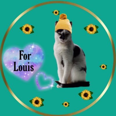 #catsoftwitter #adoptdontshop i is in #theruffRiderz #keepfits #TheAviators #ZSHQ #ECC My girlfriend is bonnie @Angelajester2 She's da cutest ever