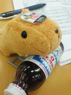 kamelot2525's profile picture. Metal好きな低〜高階層IT土方で、怪我が治ったら復帰したい元拳士。/趣味は幅広くありますので、絡んでやって下さい！/家族で獅子党（妻推し：#28 | 子推し：#6 | 僕推し：#34と#30と#26と永遠にキヨの#3）/一方で畜🐧大好き🫶/無言フォロー&いいねで失礼します🙏/海外詐欺アカ対策で鍵付き🙇‍♂️